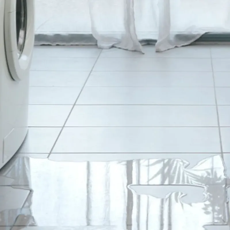 Appliance Leak Cleanup in Greene County, IN