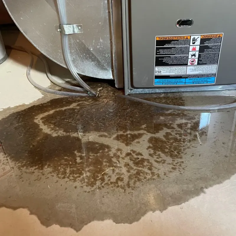 Pipe Burst and Leak Restoration in Greene County, IN