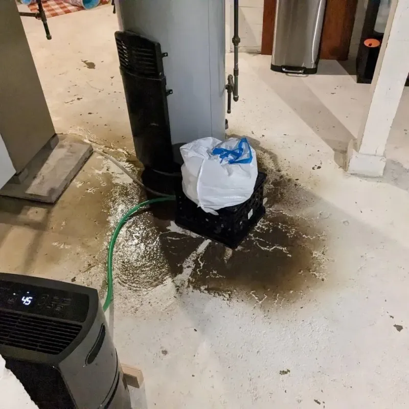 Sewage Backup Cleanup Service in Greene County, IN